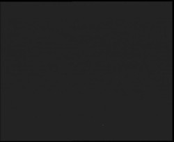 Nástup na běžecké tratě