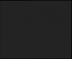 Nástup na běžecké tratě