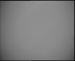 Nástup na běžecké tratě