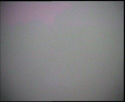 Nástup na běžecké tratě