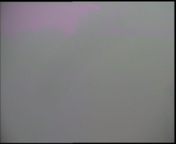 Nástup na běžecké tratě