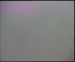 Nástup na běžecké tratě