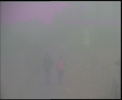 Nástup na běžecké tratě