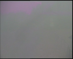 Nástup na běžecké tratě