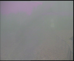 Nástup na běžecké tratě