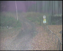 Nástup na běžecké tratě