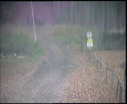 Nástup na běžecké tratě