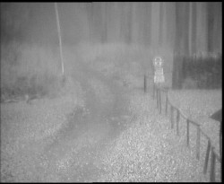 Nástup na běžecké tratě