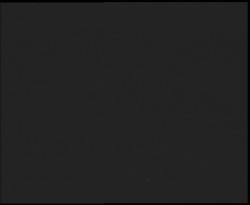 Nástup na běžecké tratě