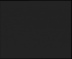 Nástup na běžecké tratě