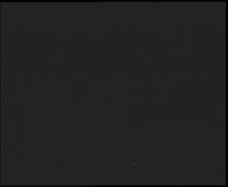 Nástup na běžecké tratě