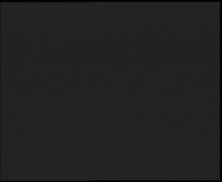 Nástup na běžecké tratě