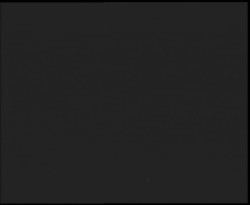 Nástup na běžecké tratě