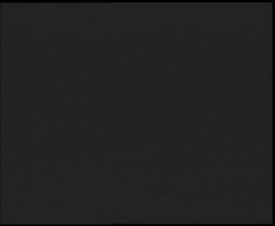 Nástup na běžecké tratě