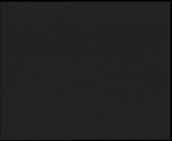 Nástup na běžecké tratě