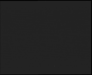 Snímek 15.11.2025 v 19:30