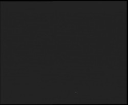 Nástup na běžecké tratě