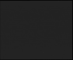 Nástup na běžecké tratě