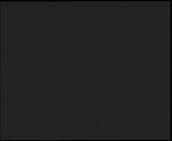 Nástup na běžecké tratě