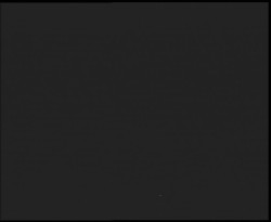 Nástup na běžecké tratě