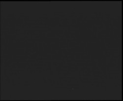 Nástup na běžecké tratě