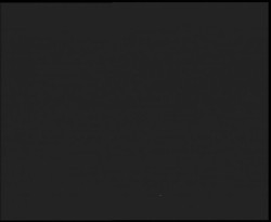 Nástup na běžecké tratě