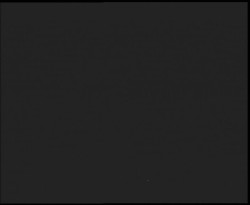 Nástup na běžecké tratě