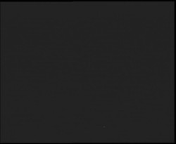 Nástup na běžecké tratě