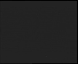 Nástup na běžecké tratě