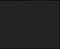 Nástup na běžecké tratě