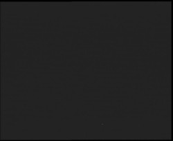 Nástup na běžecké tratě