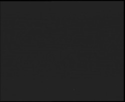 Nástup na běžecké tratě