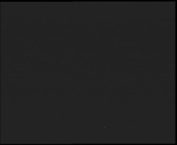 Nástup na běžecké tratě