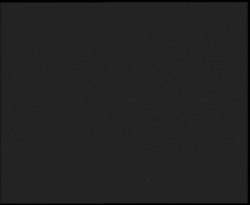 Nástup na běžecké tratě