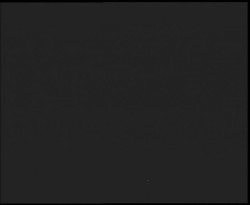 Nástup na běžecké tratě