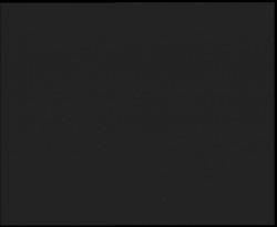 Nástup na běžecké tratě