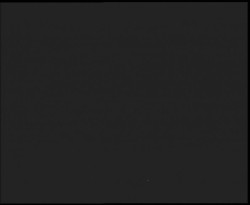 Nástup na běžecké tratě