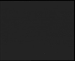 Nástup na běžecké tratě