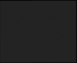 Nástup na běžecké tratě