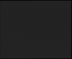 Nástup na běžecké tratě