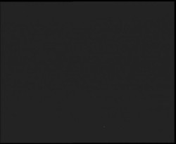 Nástup na běžecké tratě