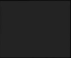 Nástup na běžecké tratě