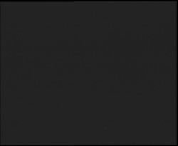 Nástup na běžecké tratě