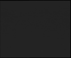 Nástup na běžecké tratě