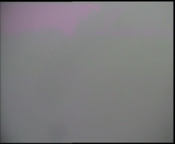 Nástup na běžecké tratě