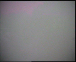 Nástup na běžecké tratě