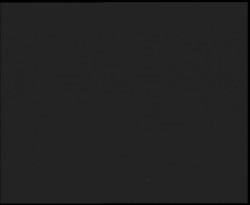 Nástup na běžecké tratě