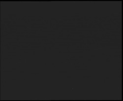 Nástup na běžecké tratě