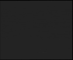 Nástup na běžecké tratě