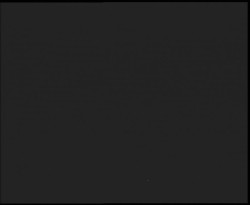 Nástup na běžecké tratě